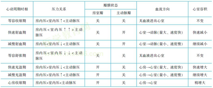 心動周期生理特點(diǎn)