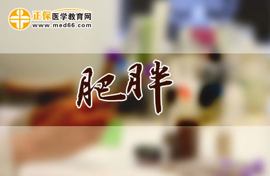 肥胖會引發(fā)哪些疾病？