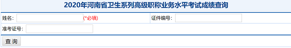 2020年河南省衛(wèi)生系列高級(jí)職稱(chēng)業(yè)務(wù)水平考試成績(jī)查詢(xún)