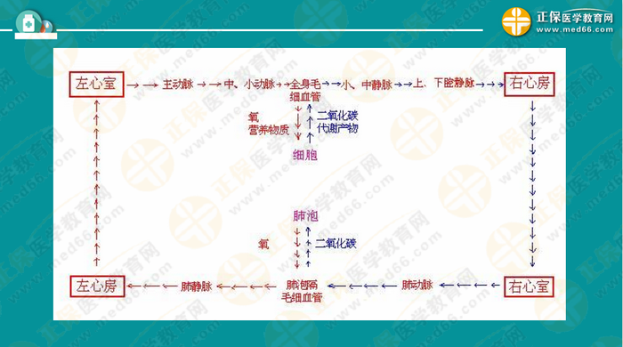 醫(yī)療衛(wèi)生考試筆試備考指導來了，共計2863頁書！怎么學？