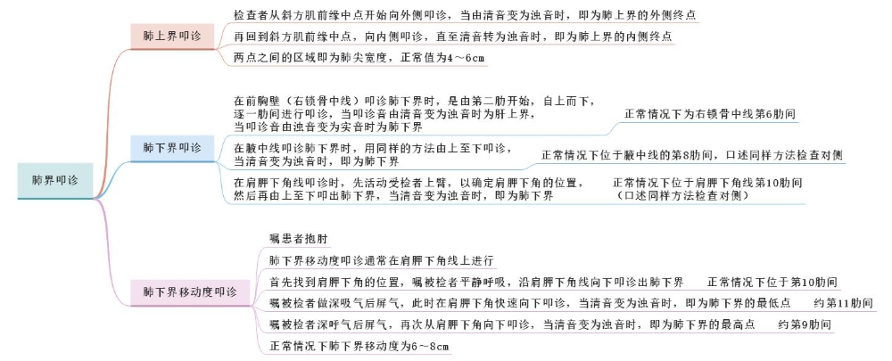 體格檢查——肺界叩診、肺下界移動度叩診