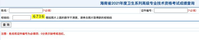 海南省2021年度衛(wèi)生系列高級專業(yè)技術資格考試成績查詢