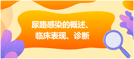 尿路感染的概述、臨床表現(xiàn)、診斷